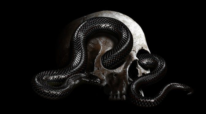 A snake crawling through a skull.
